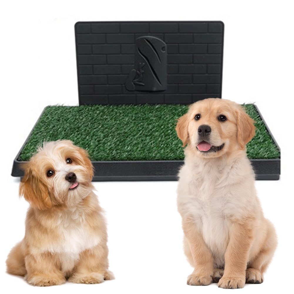 Dog Grass Pad with Tray 30 x 20 Inch F98228