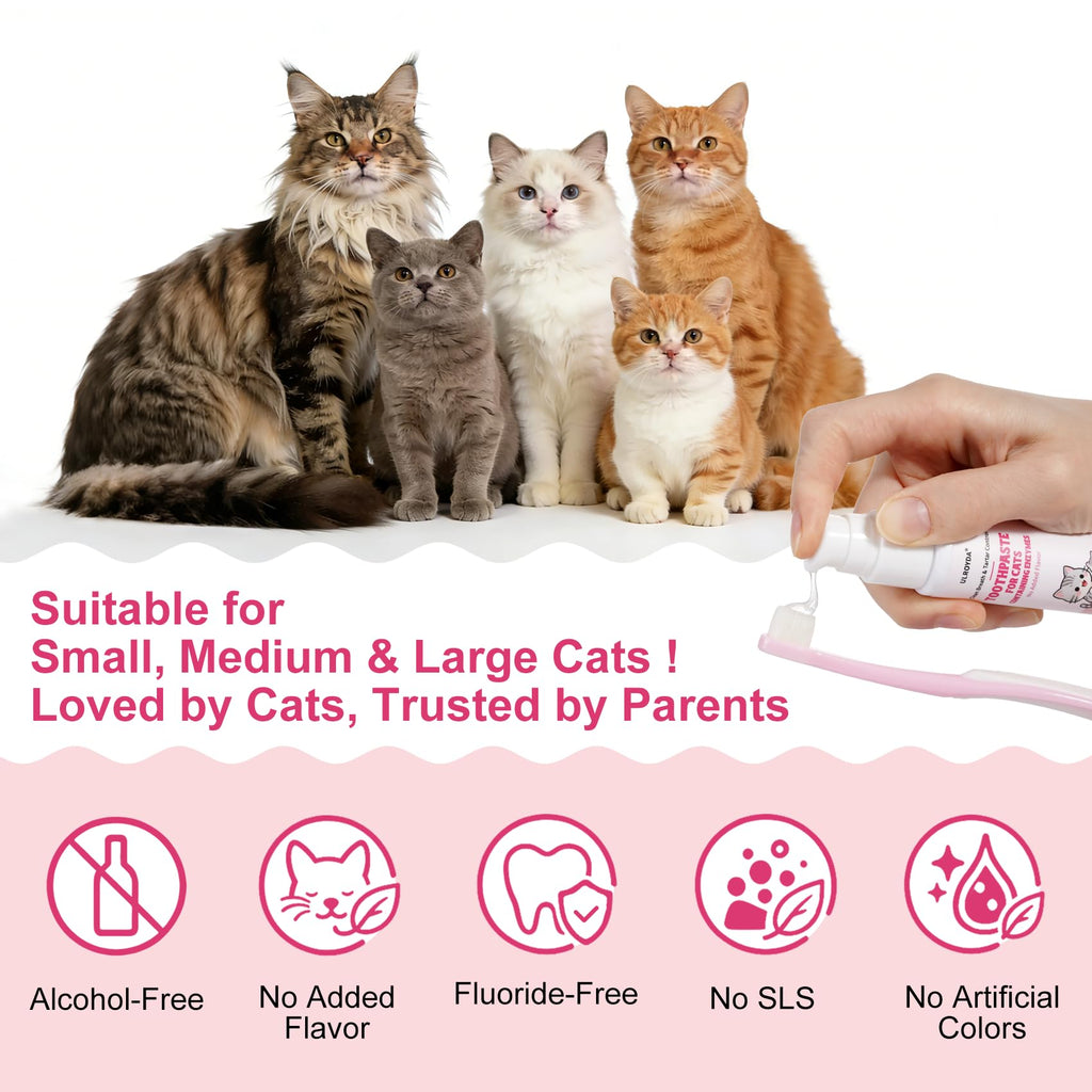 Cat Toothbrush and Toothpaste Dental Care Kit K219