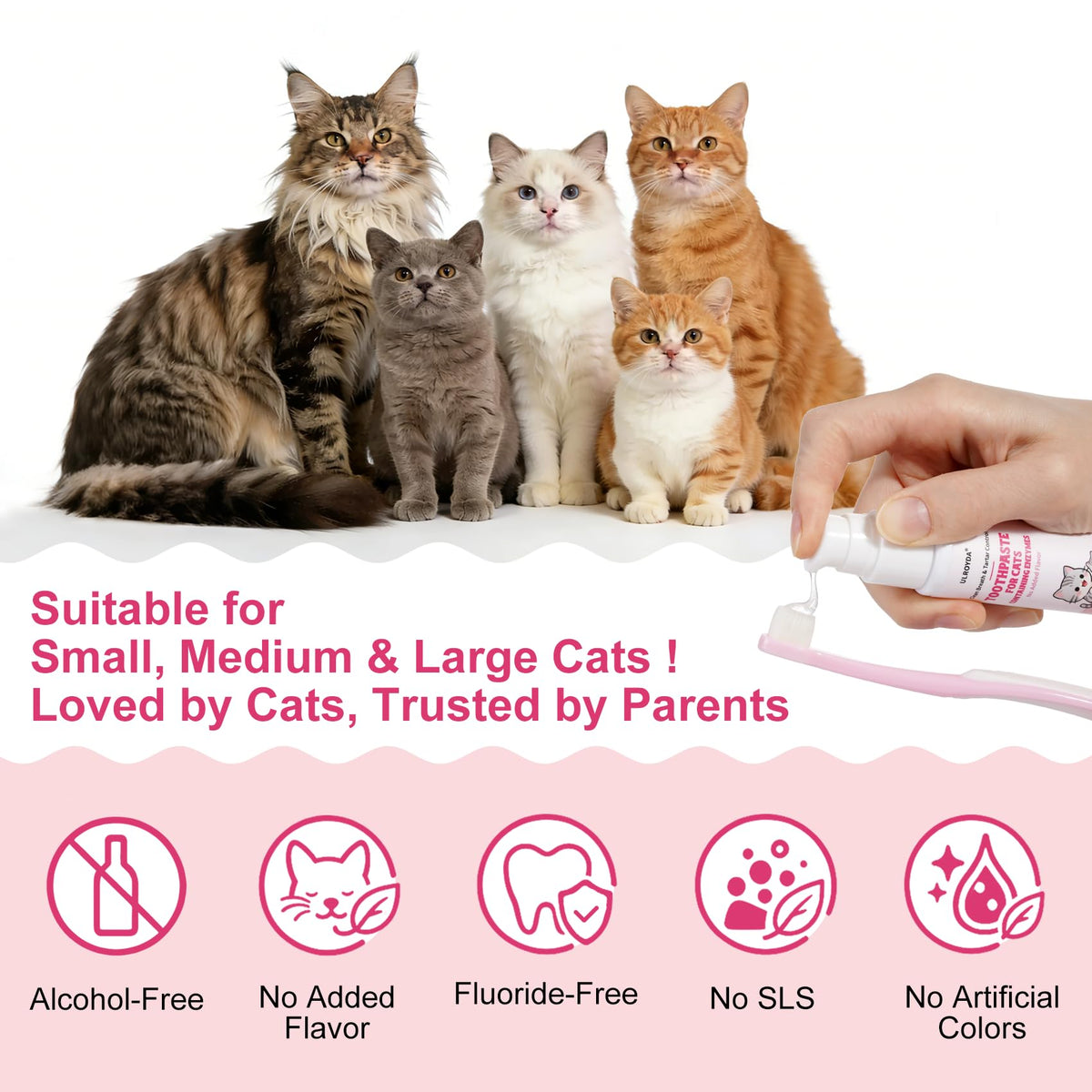 Cat Toothbrush and Toothpaste Dental Care Kit K219
