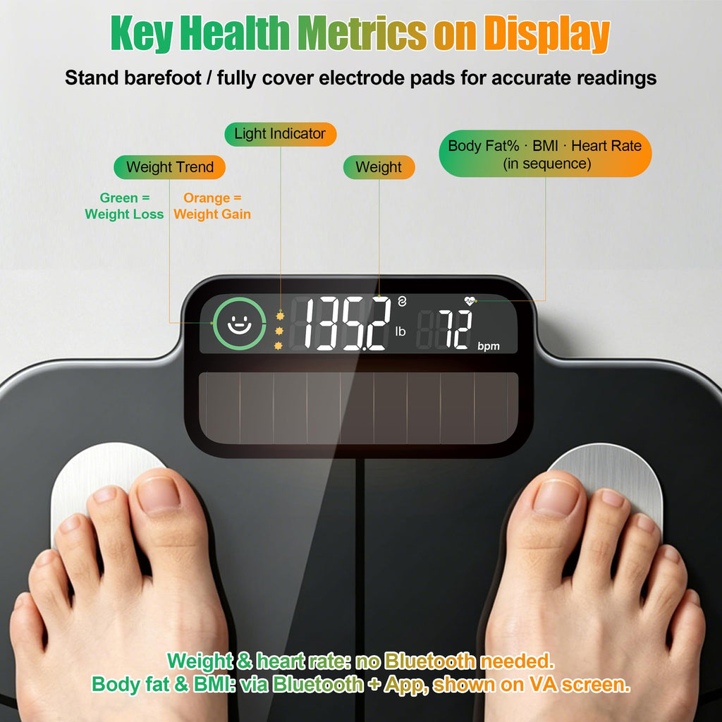 Solar Powered Smart Scale for Body Weight H463