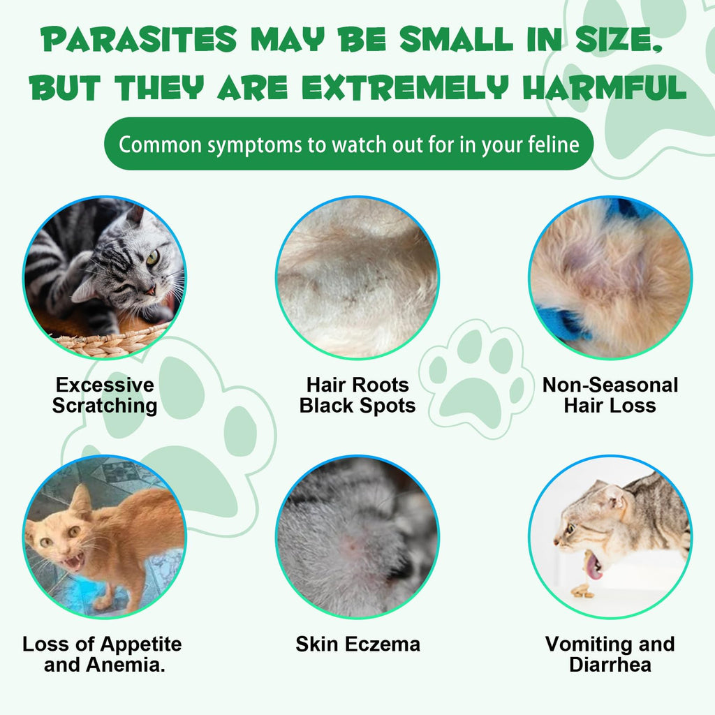Natural Probiotic Digestive Support Supplement Drops for Cats O97169