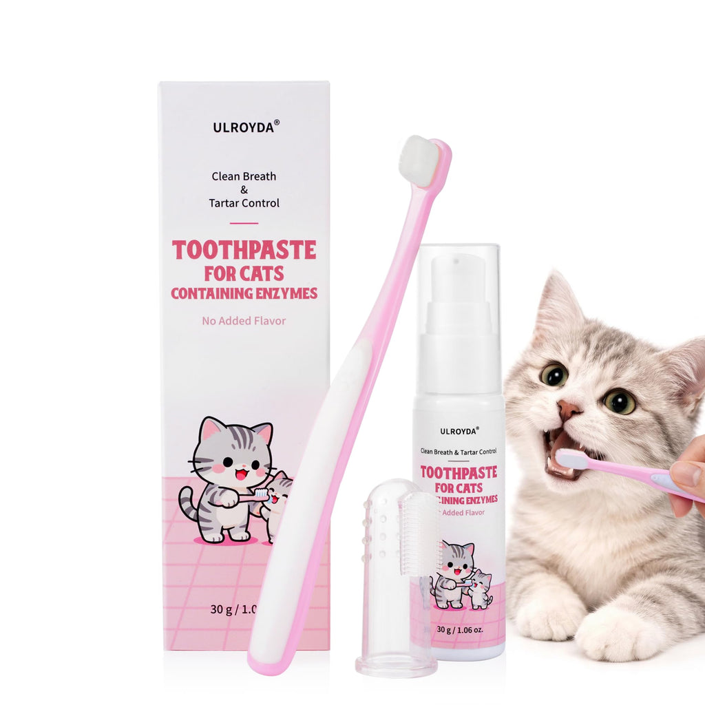 Cat Toothbrush and Toothpaste Dental Care Kit K219