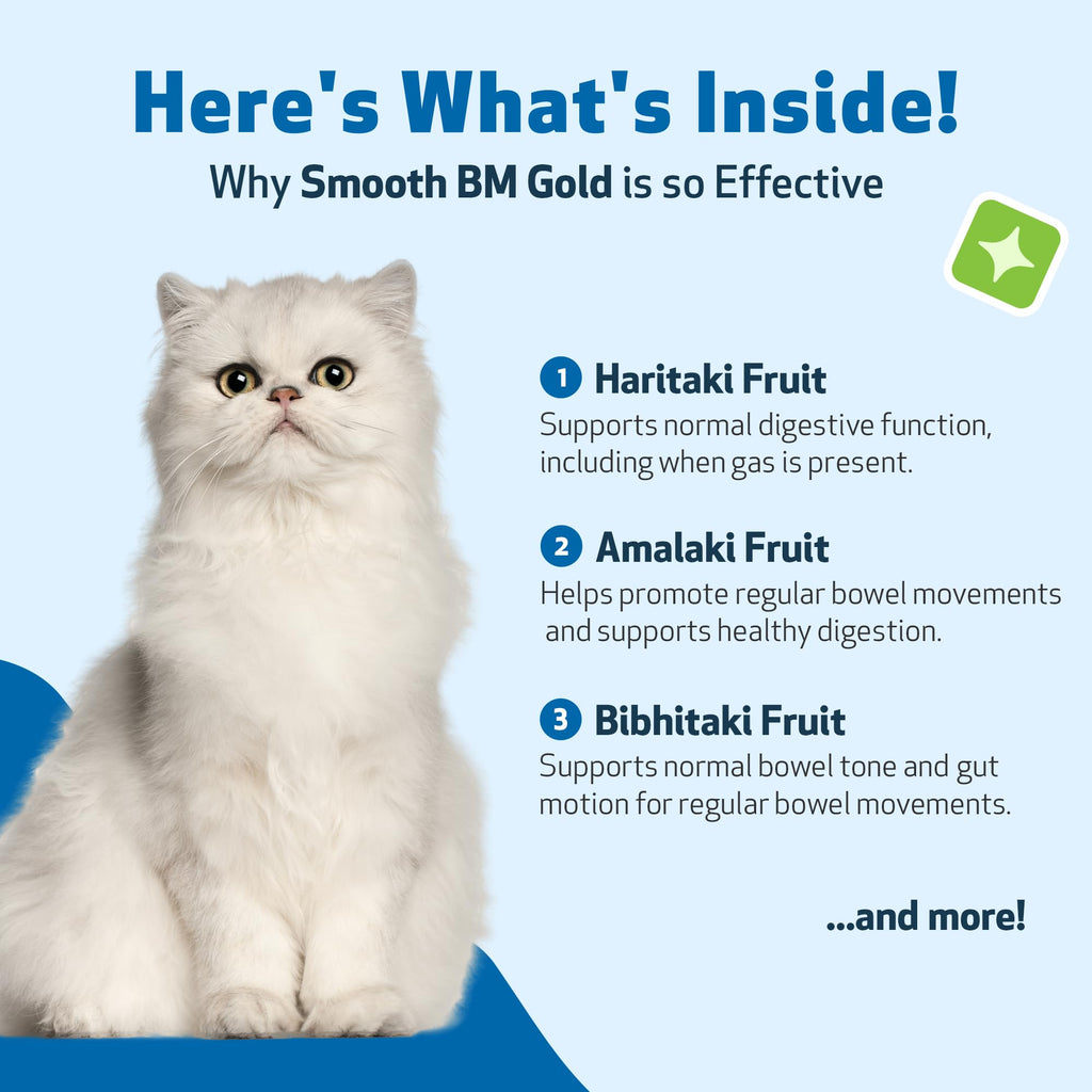 4 oz Cat Bowel Support Q83101