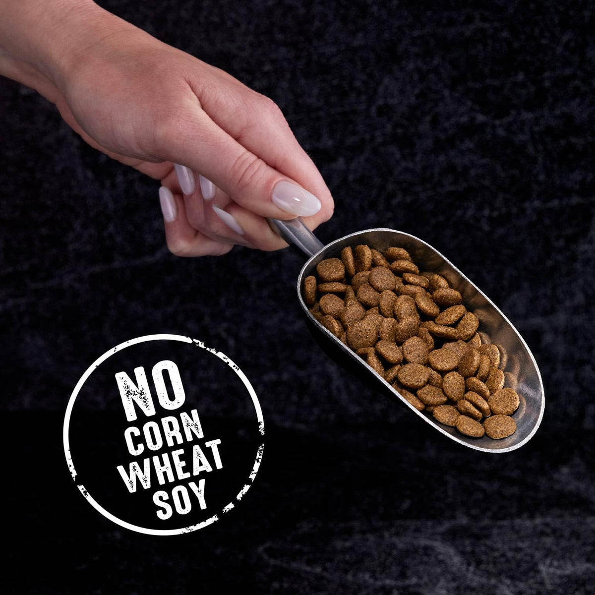 Grain Free High Protein Natural Dry Cat Food, Chicken, 2 lb A8180