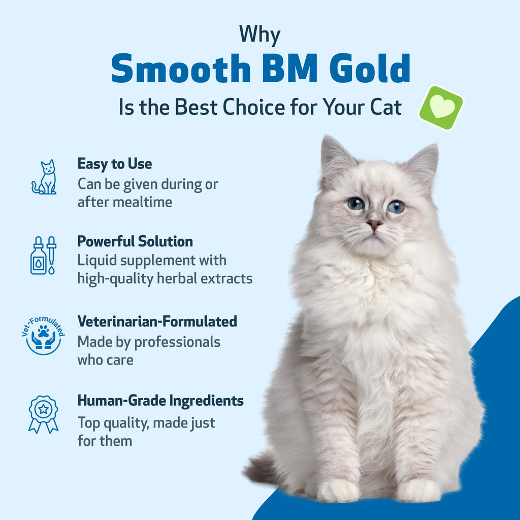 4 oz Cat Bowel Support Q83101