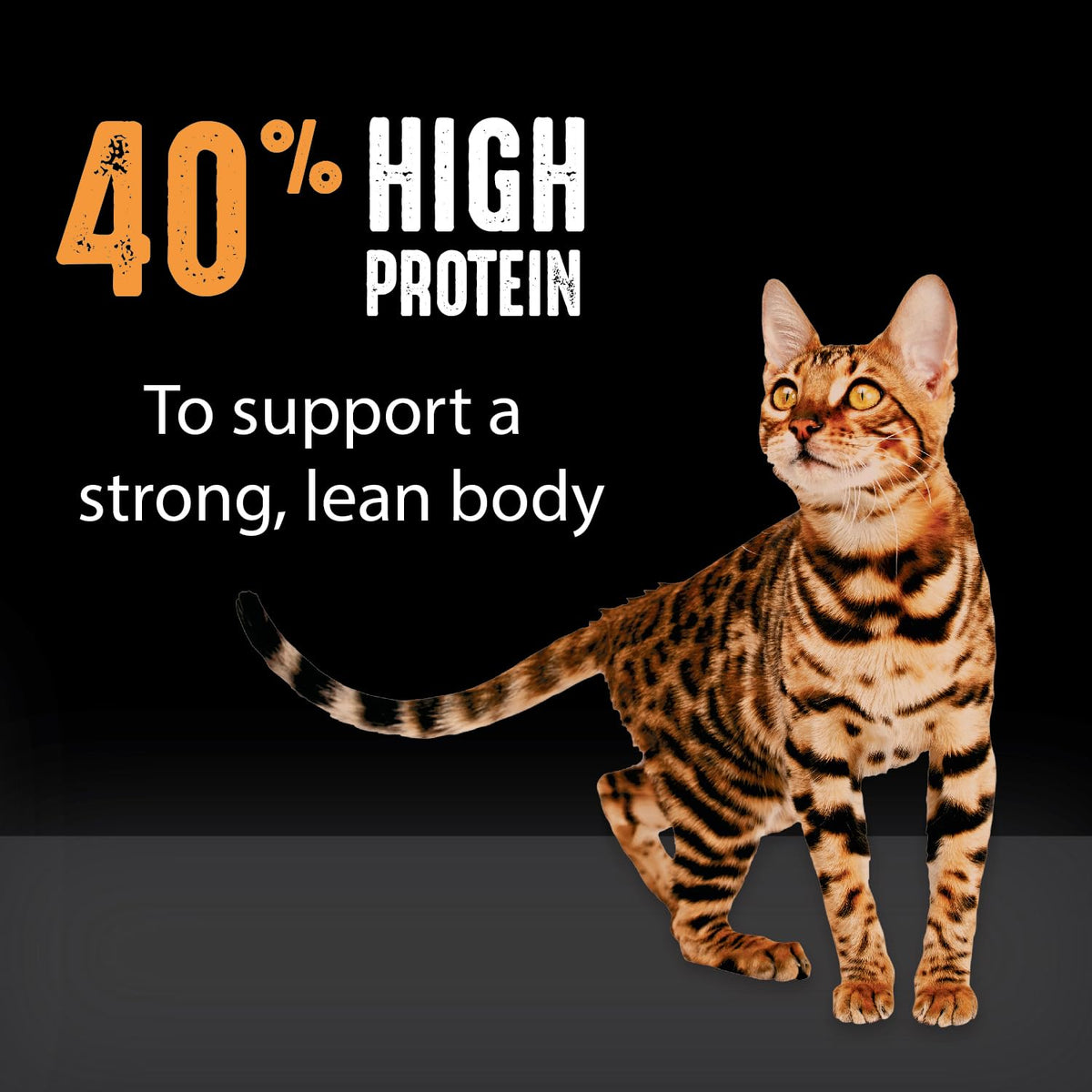 Grain Free High Protein Natural Dry Cat Food, Chicken, 2 lb A8180