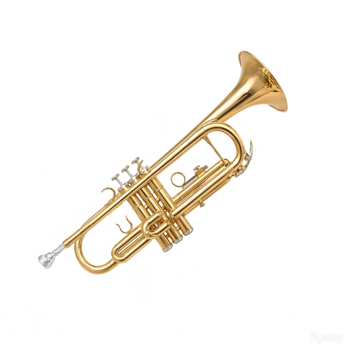 Bb Trumpet Brass Instrument with 7C Mouthpiece, Hard Case, Cleaning Kit R800
