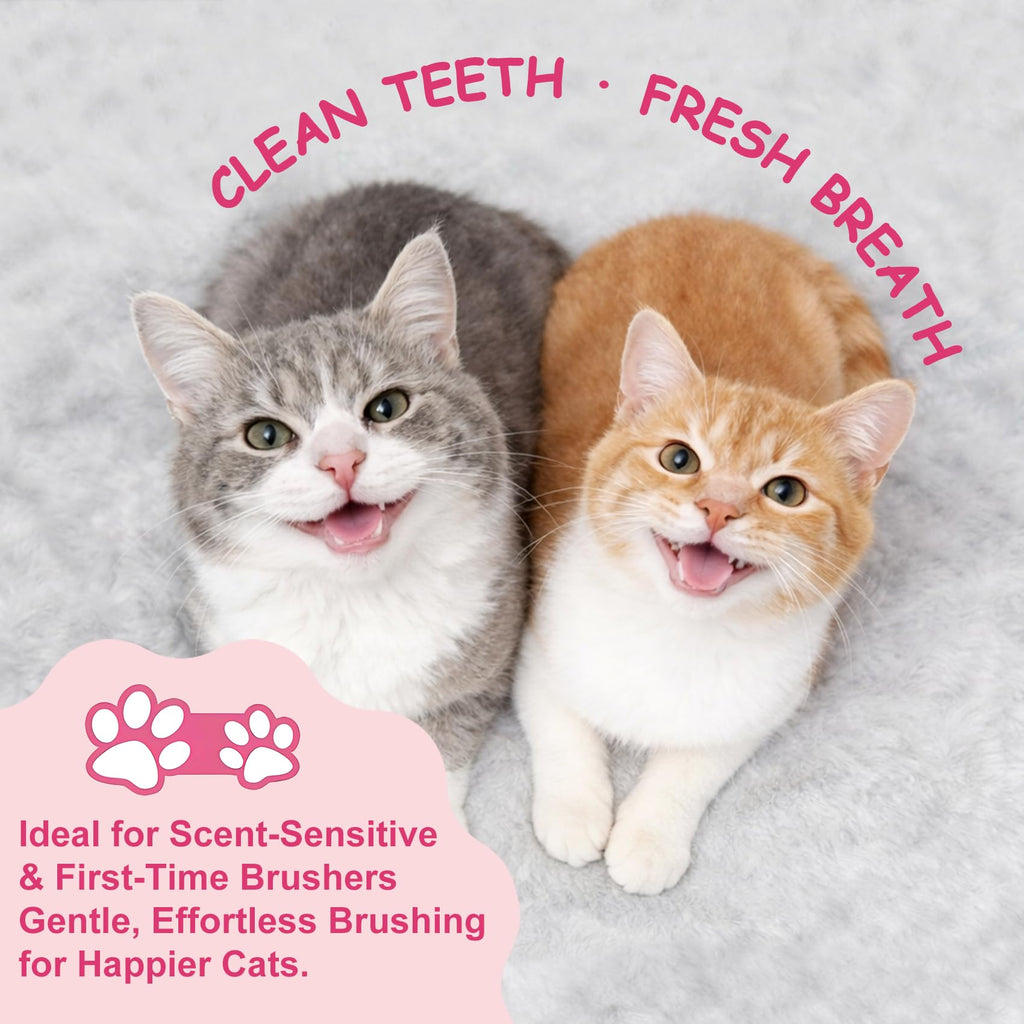 Cat Toothbrush and Toothpaste Dental Care Kit K219