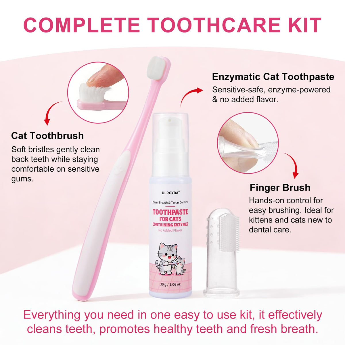 Cat Toothbrush and Toothpaste Dental Care Kit K219