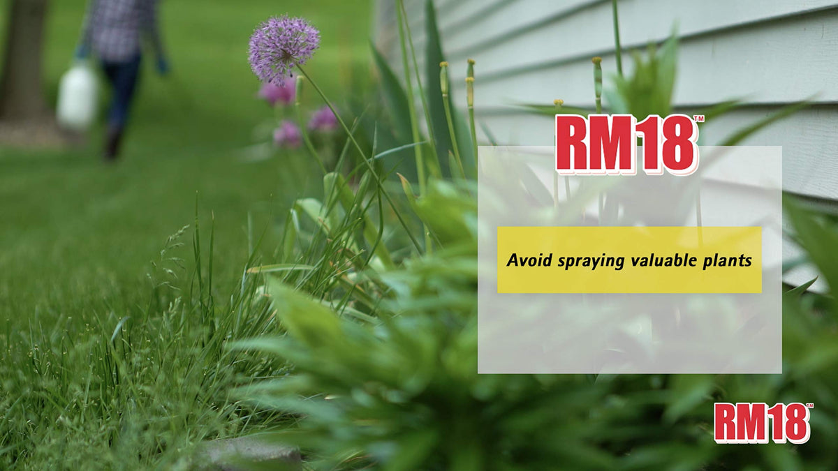 Fast-Acting Weed & Grass Killer Herbicide Spray 1-gallon T27509