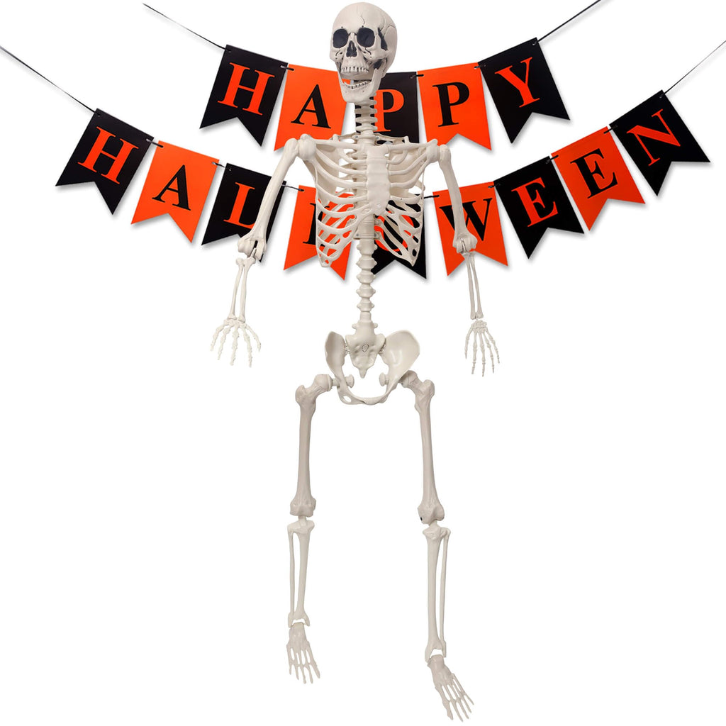 Life Size Poseable Plastic Skeleton with Banner D8804