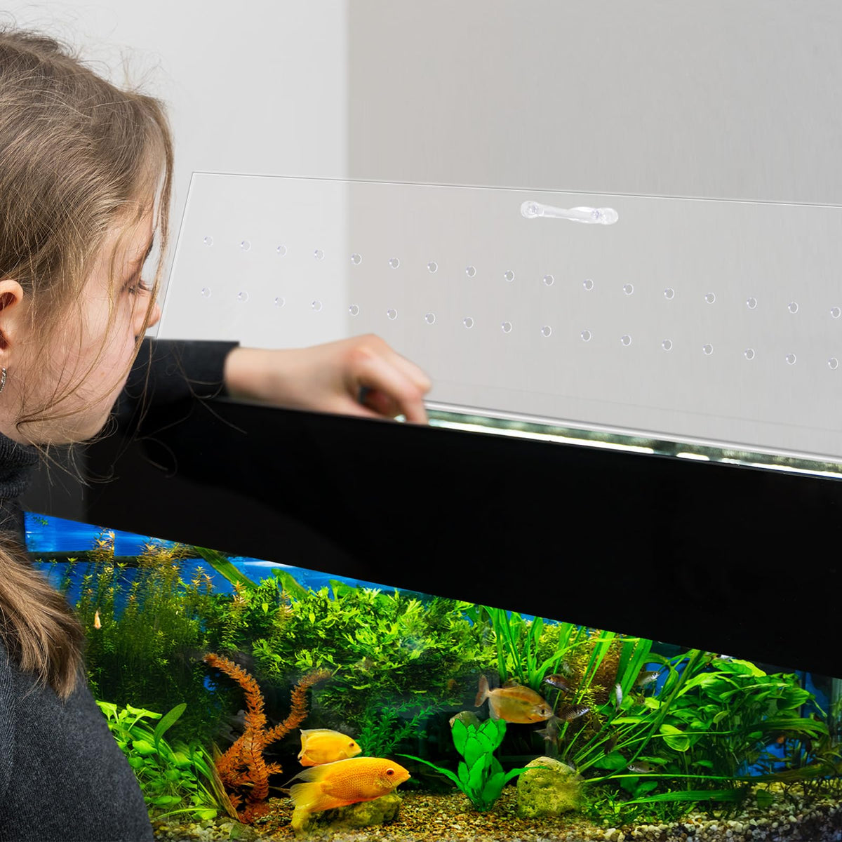 Polycarbonate Aquarium Lid 2 Pieces Set with Hook Knife Q22983