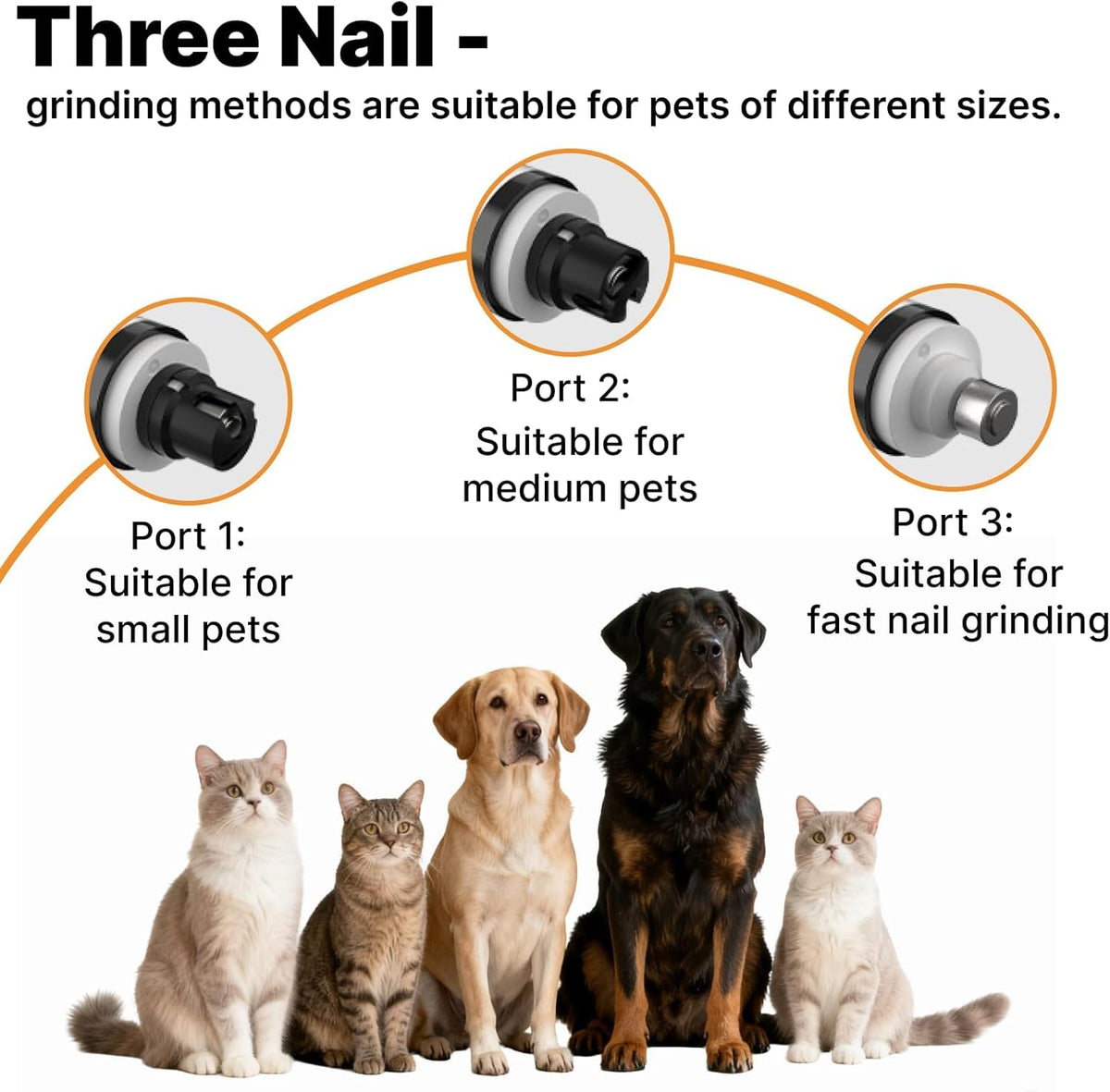 Dog Nail Scratch Board with Hand Strap + Dog Nail Grinder F31890