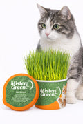 Cat Grass Grow Kit H551352