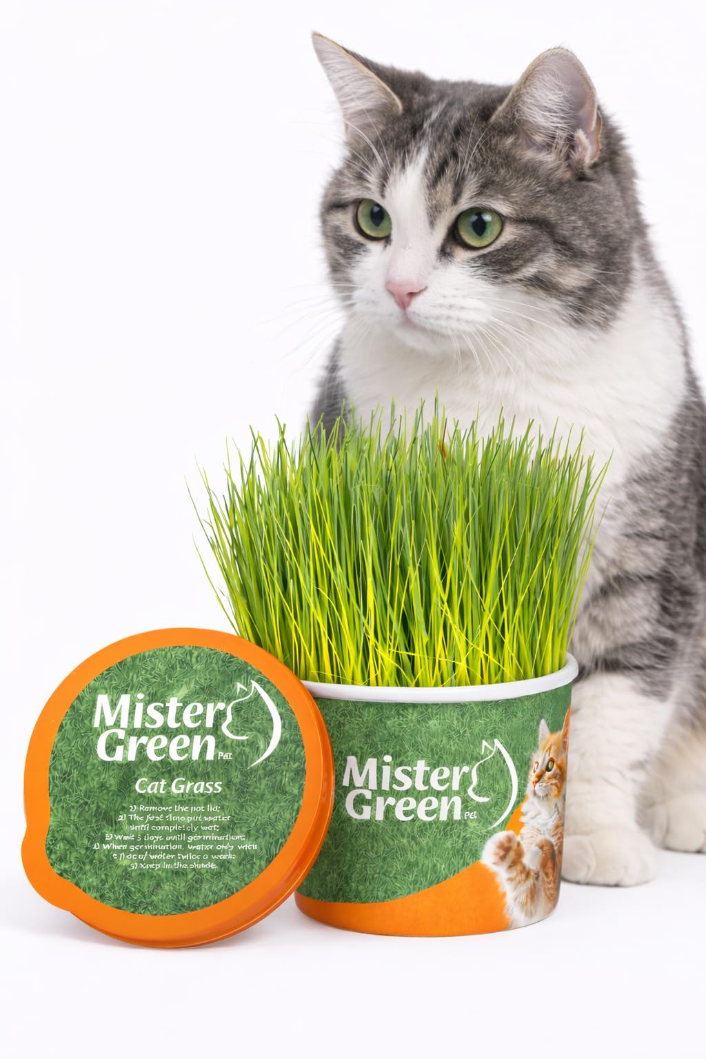 Cat Grass Grow Kit H551352