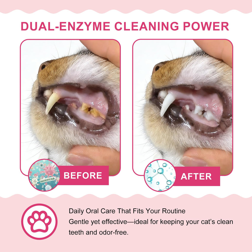 Cat Toothbrush and Toothpaste Dental Care Kit K219