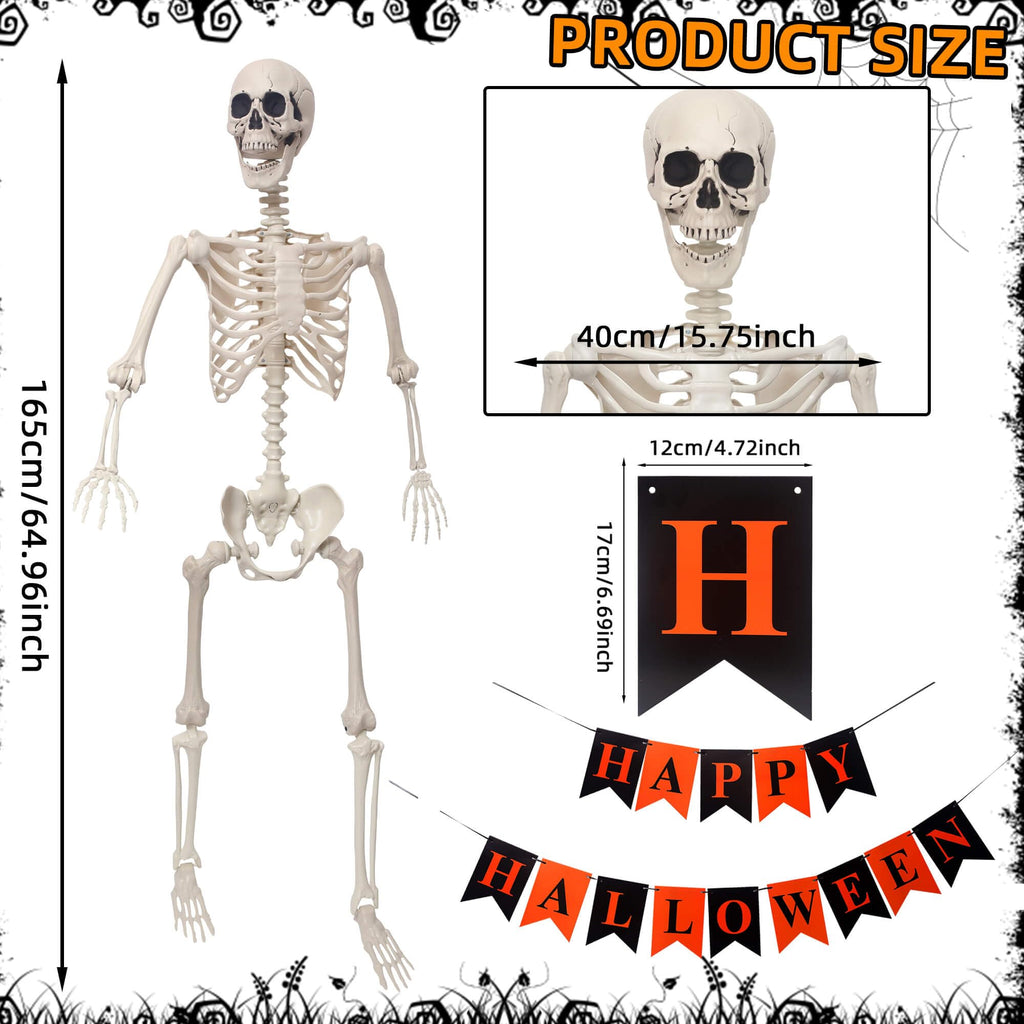 Life Size Poseable Plastic Skeleton with Banner D8804