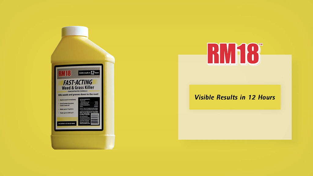 Fast-Acting Weed & Grass Killer Herbicide Spray 1-gallon T27509