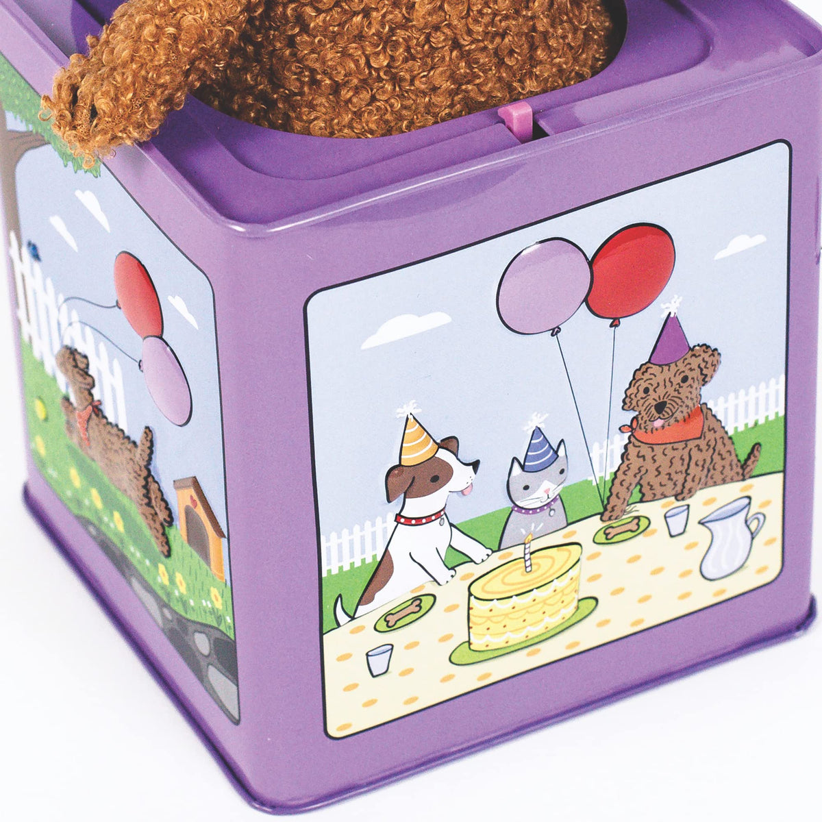 Birthday Puppy Jack-in-the-Box Toy L34583