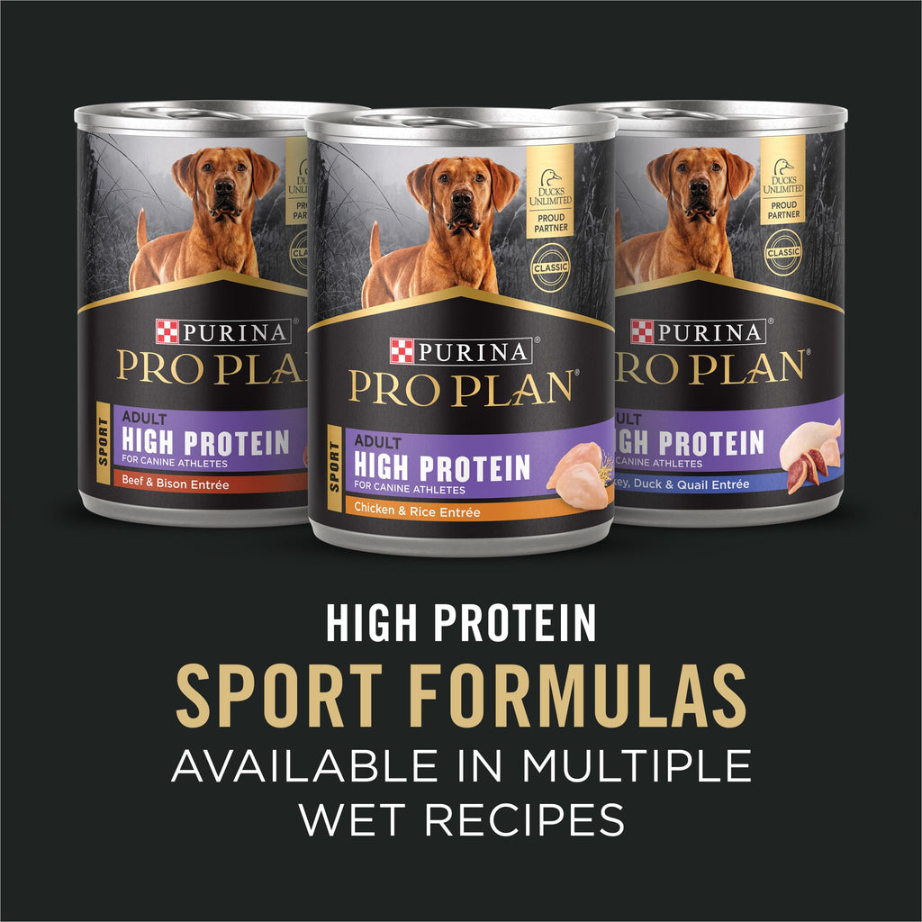 Salmon High Protein Dry Dog Food T226