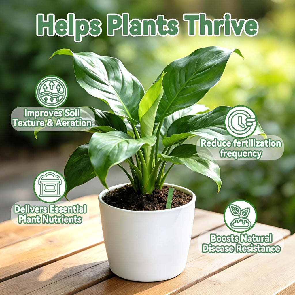 Plant Fertilizer Sticks N502979