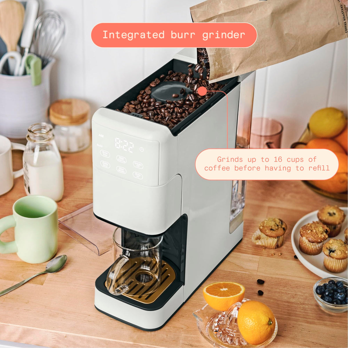 Single Serve Coffee Maker with Burr Grinder T2187