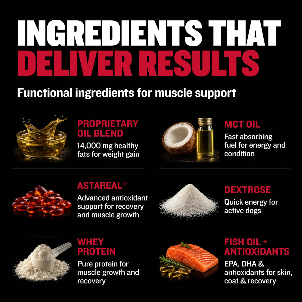 Liquid Dog Muscle Builder Supplement 16 oz O5937