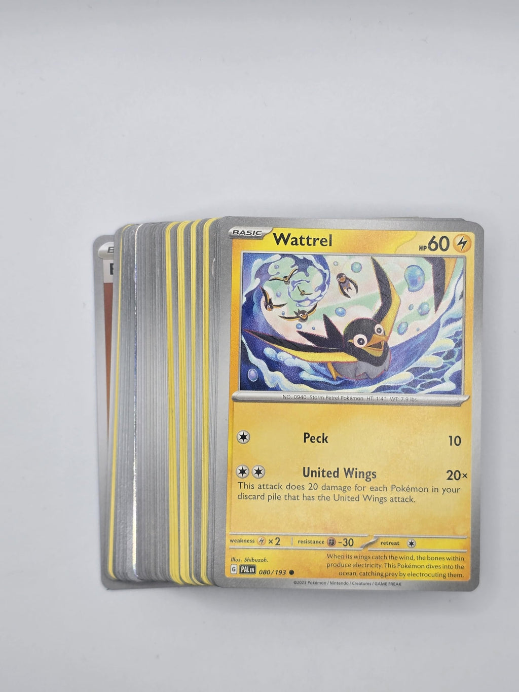 Pokemon TCG Random Cards 50 Cards F5055