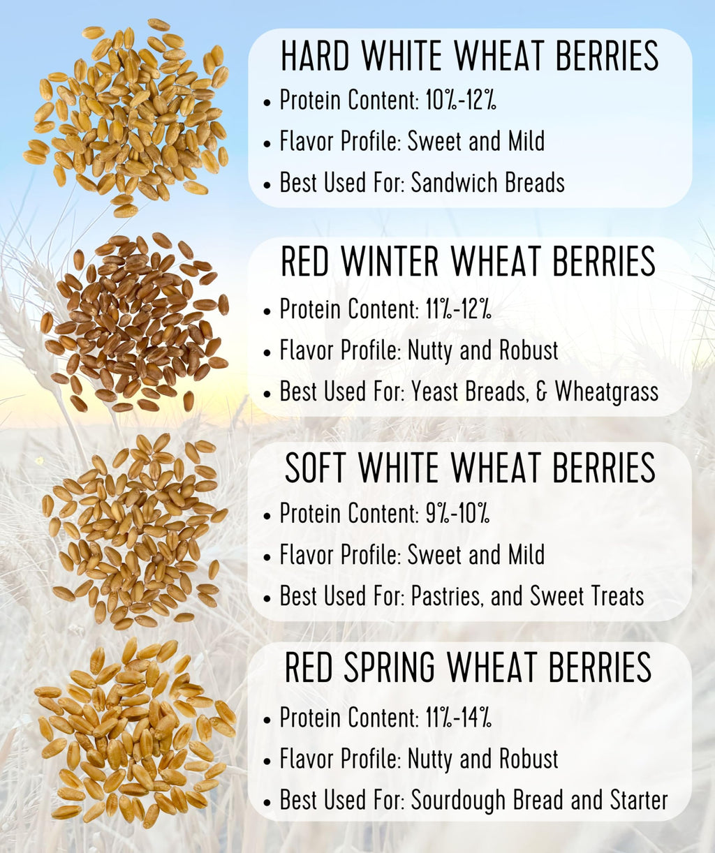 Hard White Wheat Berries 50 lbs P46801
