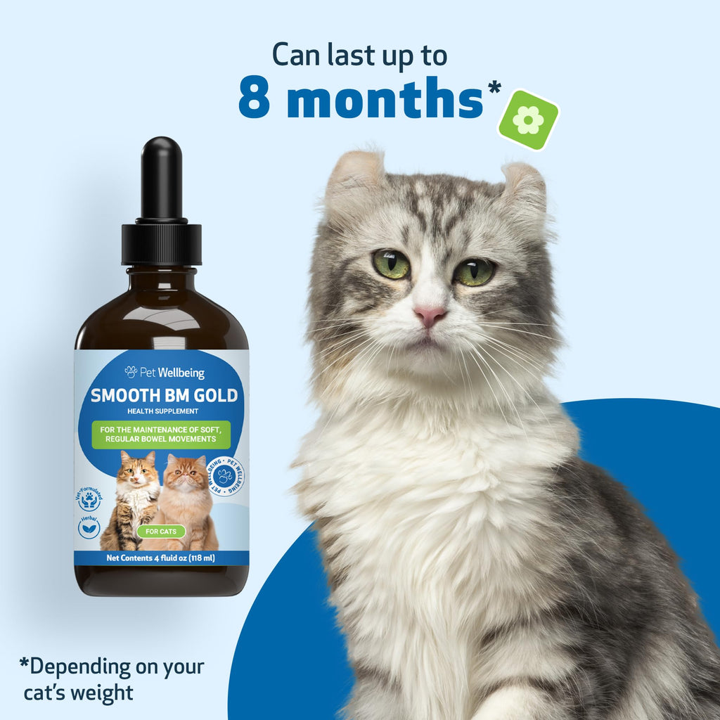 4 oz Cat Bowel Support Q83101