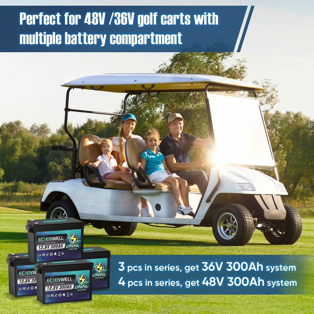 12V 300Ah Lithium LiFePO4 Battery with 200A BMS H958668