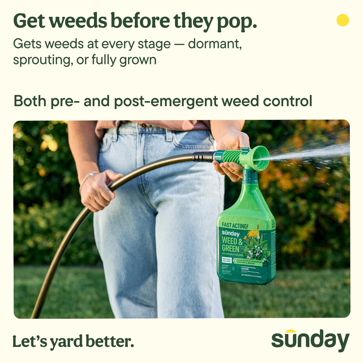 32oz 2-Pack Lawn Weed Killer & Greening Kit F1401