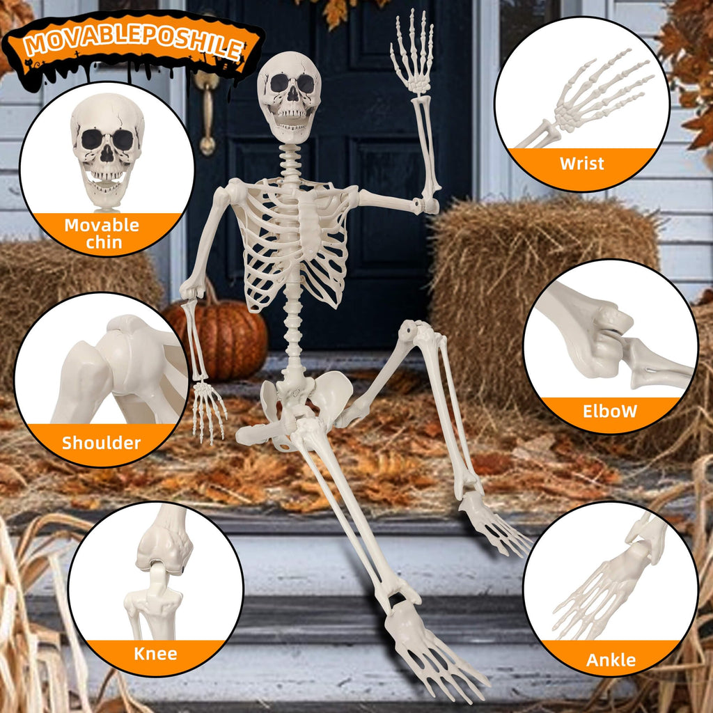 Life Size Poseable Plastic Skeleton with Banner D8804