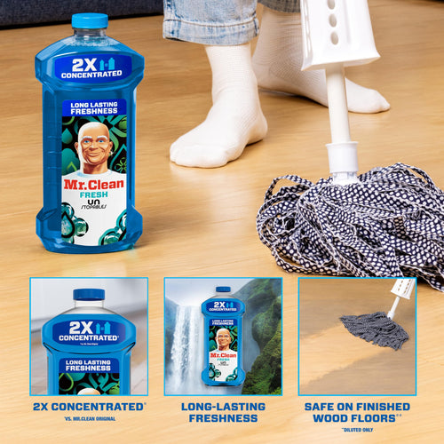 2X Concentrated Multi Surface Cleaner 41 fl oz N354